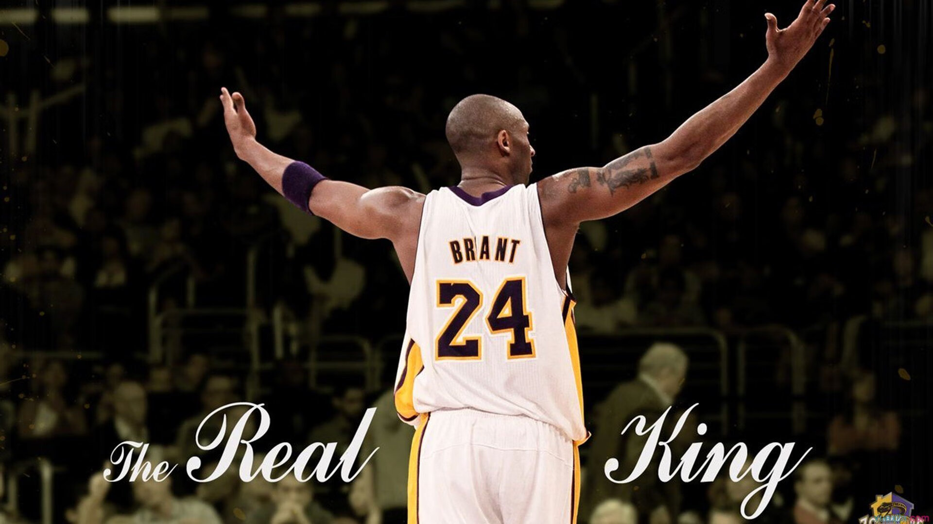 ayx世界杯2026-魔术绝杀骑士，拉文，从质疑声中走出的关键先生